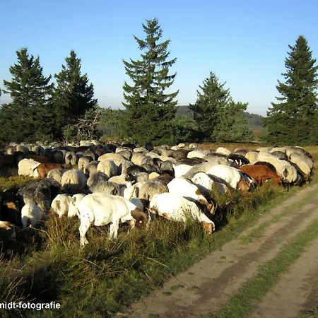 Haus Sonnenhügel Apartment *
