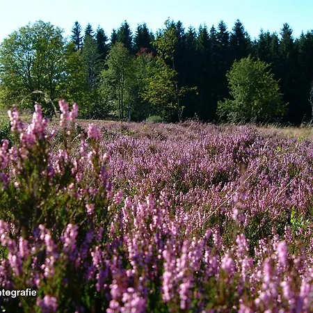Haus Sonnenhügel Apartment *