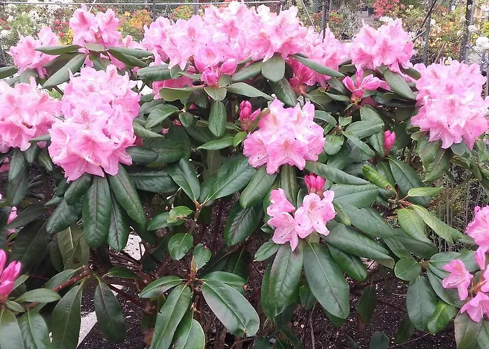 Haus Sonnenhuegel Apartmán Winterberg