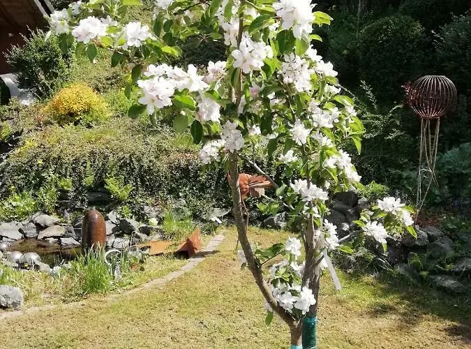 Haus Sonnenhuegel Lägenhet Winterberg