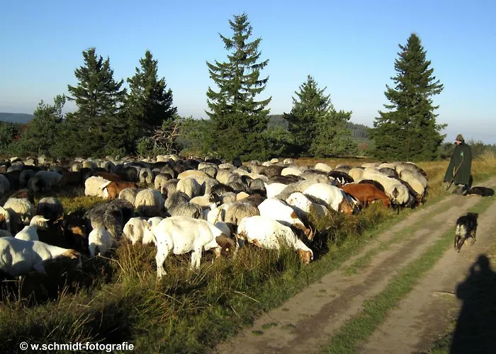 Haus Sonnenhuegel Apartman *