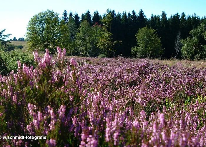 Haus Sonnenhügel Apartamento *